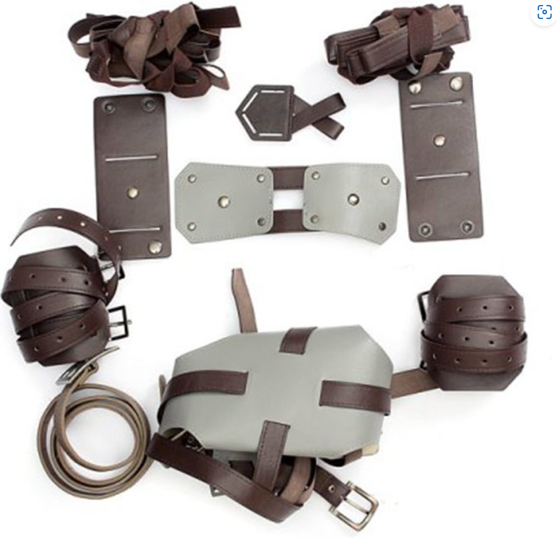 Attach On Titan Harness