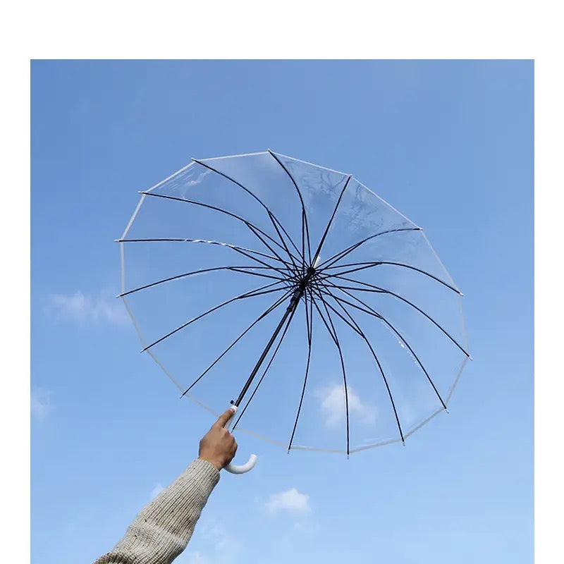 Transparent Umbrella