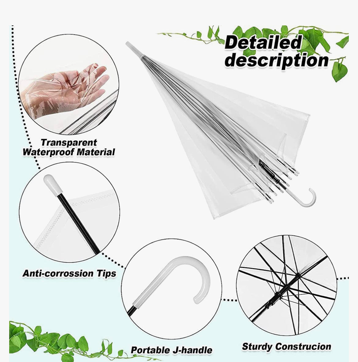 Transparent Umbrella