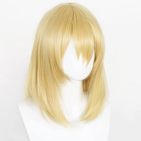 Howl’s Cosplay Wig | Pre Order
