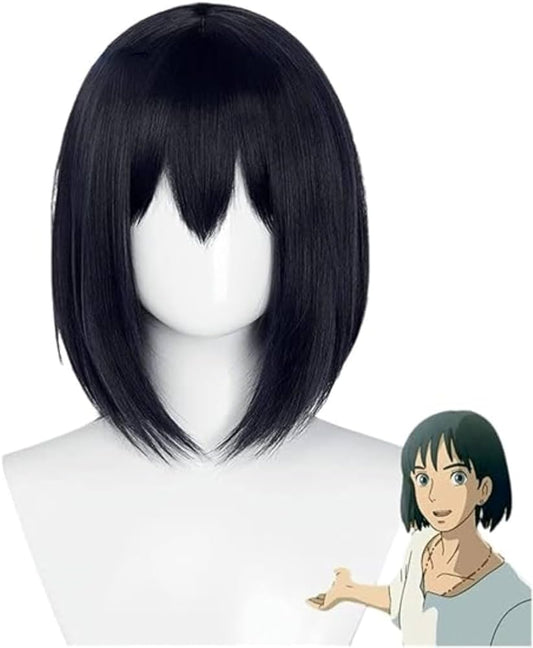 Howl’s Cosplay Wig | Pre Order