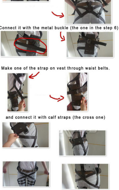 Attach On Titan Harness