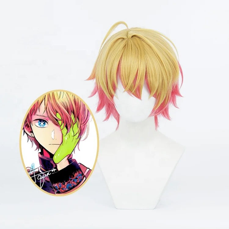 Hoshino Aqua Cosplay Wig | Pre Order